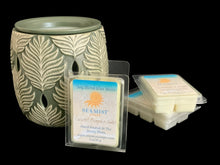 Load image into Gallery viewer, Scented Wax Melts
